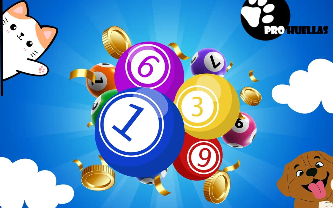 ¡Gran Bingo Solidario en Bigastro!