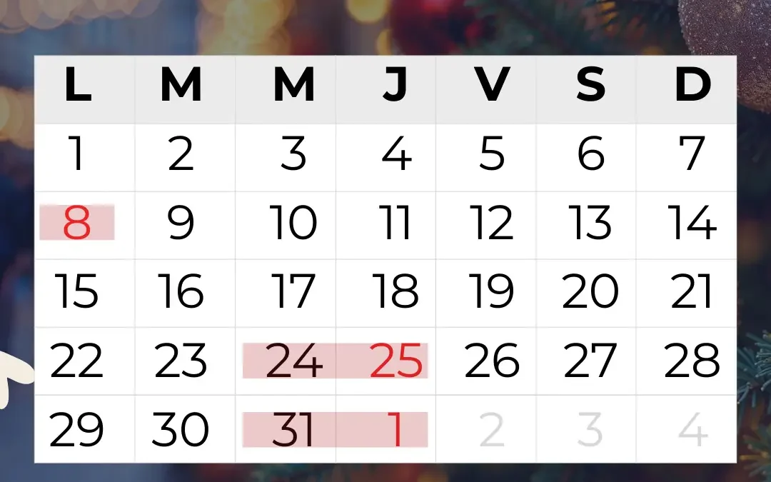 Horario festivo