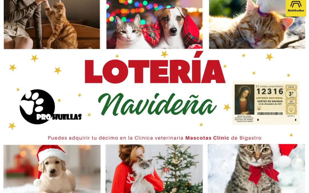 Lotería Navideña